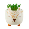 Sass & Belle Woodland Fox Mini Planter for Cacti & Succulents