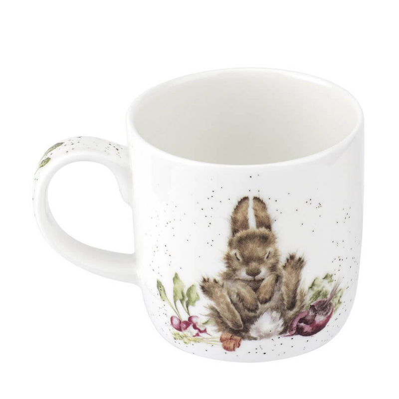 Royal Worcester Wrendale Designs Grow Your Own China Gift Mug